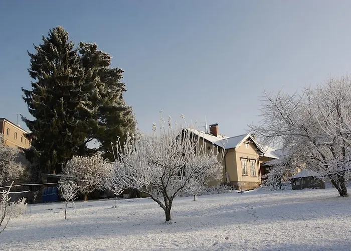 Simakova Daire *